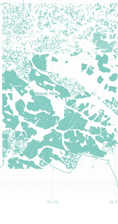 Tea field polygons around Nandi Hills